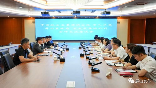 屏山縣宜發展集團與中國航發北京石墨烯技術研究院深化技術交流合作，共繪創新發展藍圖