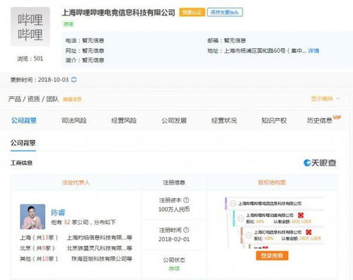嗶哩嗶哩電競公司成立 深耕Z世代主場，科技賦能電競未來